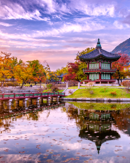 Du Lịch Hàn Quốc Mùa Xuân Lễ Hội Hoa Anh Đào Và Cảnh Sắc Lãng Mạn