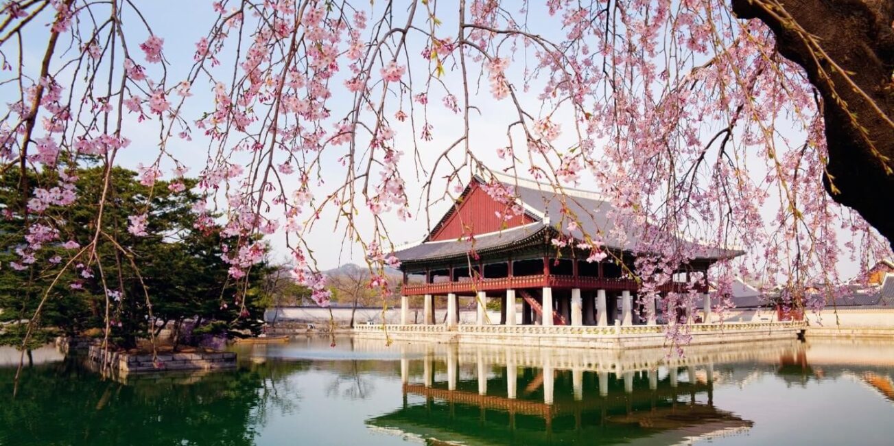 Du Lịch Hàn Quốc Với Gia Đình: Những Địa Điểm Vui Chơi Dành Cho Trẻ Em