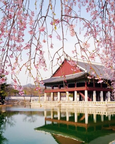 Du Lịch Hàn Quốc Với Gia Đình: Những Địa Điểm Vui Chơi Dành Cho Trẻ Em