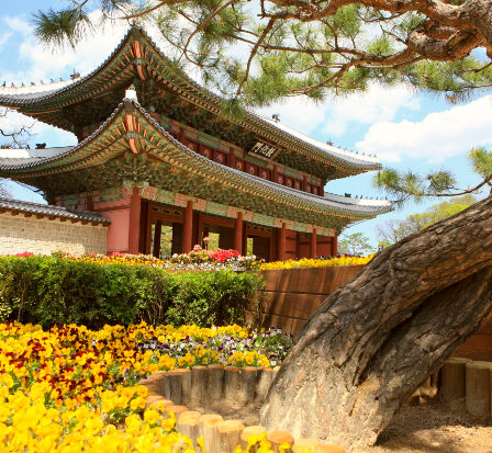 Kinh Nghiệm Du Lịch Hàn Quốc Cho Người Mới Bắt Đầu: Hướng Dẫn Toàn Diện Cho Chuyến Đi Đáng Nhớ