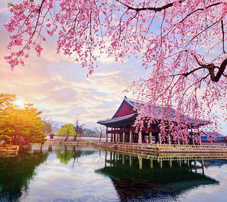 Lịch Trình Du Lịch Hàn Quốc 7 Ngày Hướng Dẫn Chi Tiết Cho Chuyến Đi Hoàn Hảo