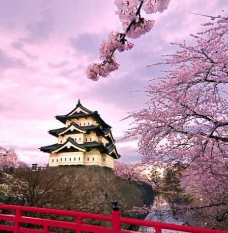 Seoul – Thủ Đô Hiện Đại: Top 7 Điểm Tham Quan Nổi Bật