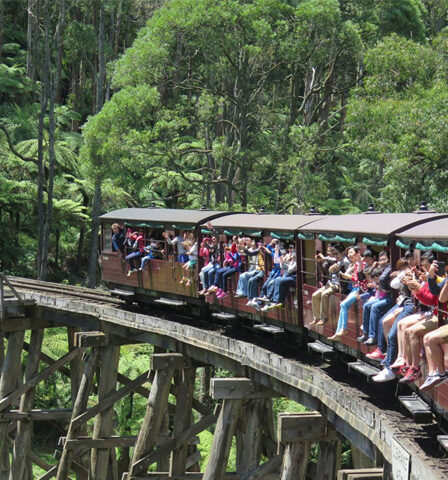 Top 5 Tour Du Lịch Úc Giá Rẻ Cho Du Khách Tự Tú