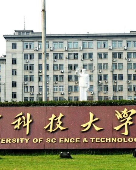 Nên chọn ngành gì khi du học Trung Quốc?